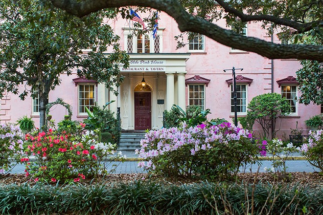 Savannah ti affascinerà totalmente, anche in estate 